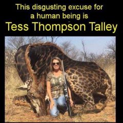 Violent Christian Tess Thompson Talley