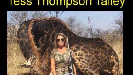 Violent Christian Tess Thompson Talley