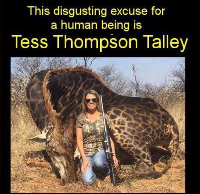 Violent Christian Tess Thompson Talley